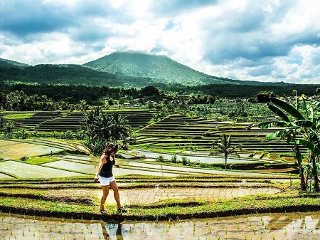 Danika visite un champs en terrasses de Bali.